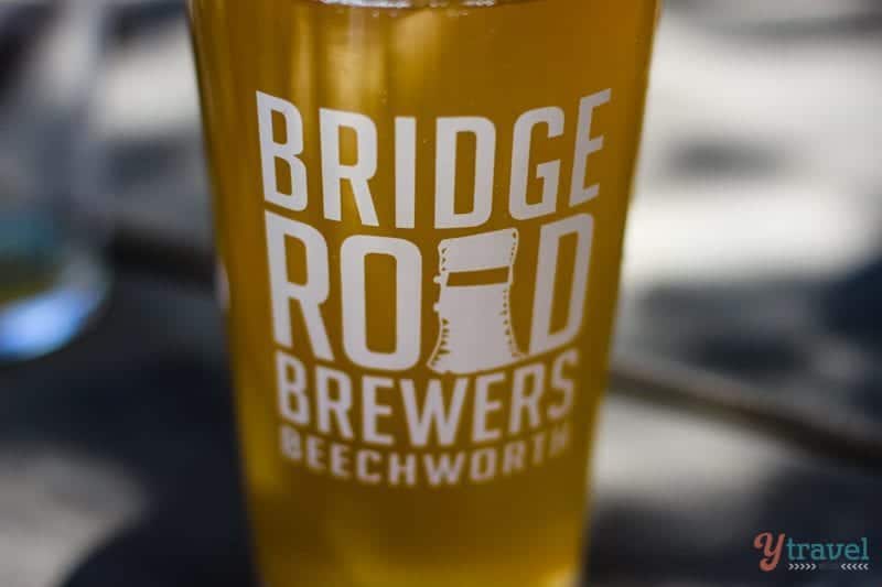 glass of beer on table