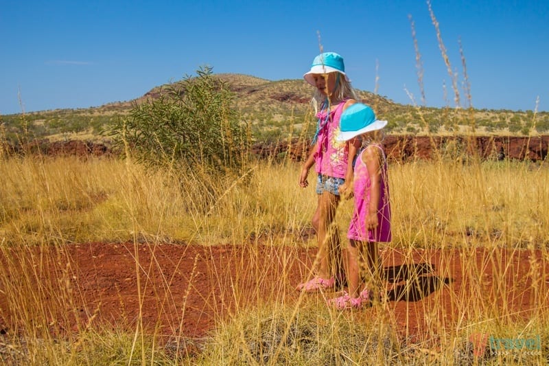 girls standing around tall grass