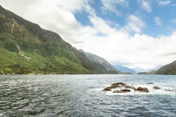 doubtful sound views in new zealand