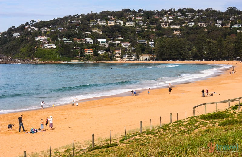 sweeping golden sands of Palm Beach,