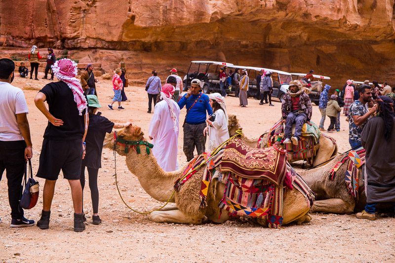 petra jordan-61
