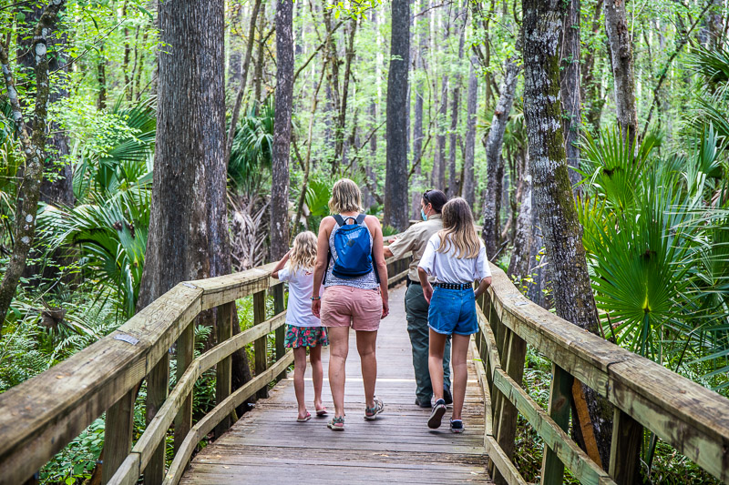 family walking through Highlands Hammock State Park, one of the best things to do in Sebring, Florida