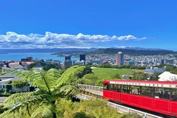 wellington botanical gardens