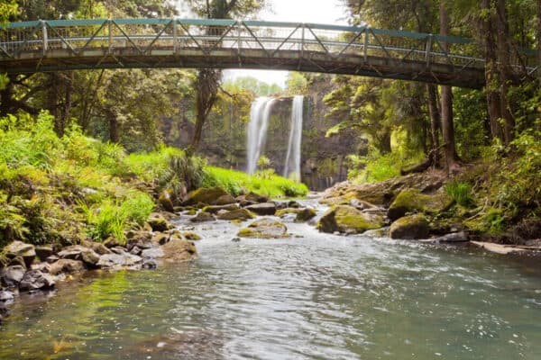Whangarei Falls New Zealand